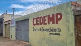 Organização Garra
