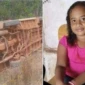 Celina Victoria Frões Muniz Goes morreu aos 9 anos em um acidente | Foto: Reprodução / Redes Sociais