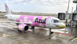 Aviao-da-Azul-inspirado-na-personagem-Margarida-1000x600