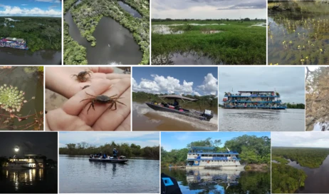 Vida na bacia do Rio Araguaia foto araguaia em foco