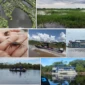 Vida na bacia do Rio Araguaia foto araguaia em foco