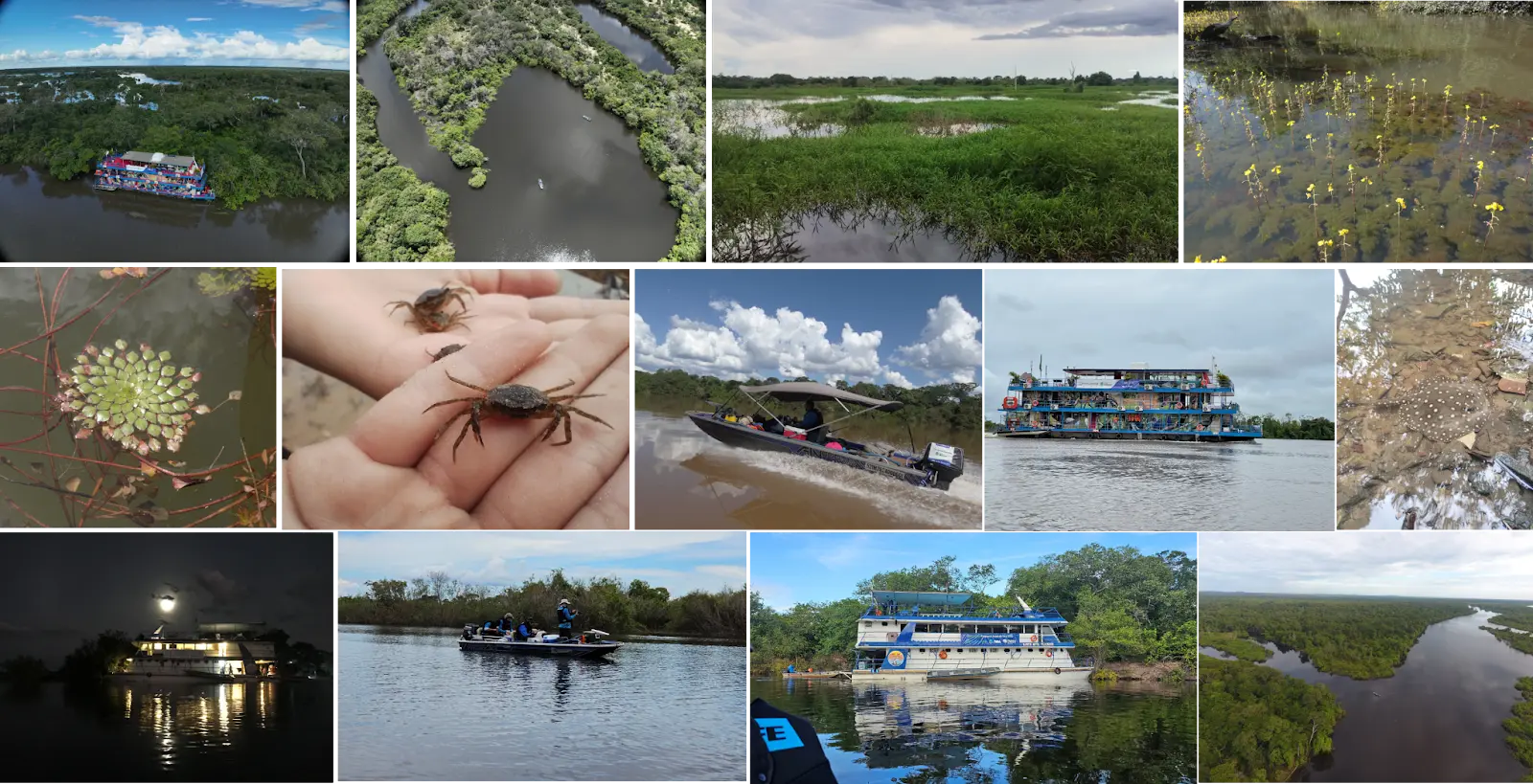 Vida na bacia do Rio Araguaia foto araguaia em foco
