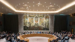 cons_seg_onu