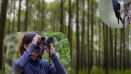 Why-you-should-start-birdwatching-1