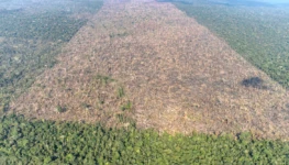 desmatamento-em-labrea-municipio-do-sul-do-amazonas-foto-victor-moriyama-amazonia-em-chamas-2021-2