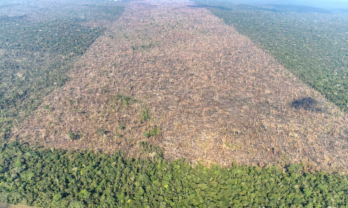 desmatamento-em-labrea-municipio-do-sul-do-amazonas-foto-victor-moriyama-amazonia-em-chamas-2021-2