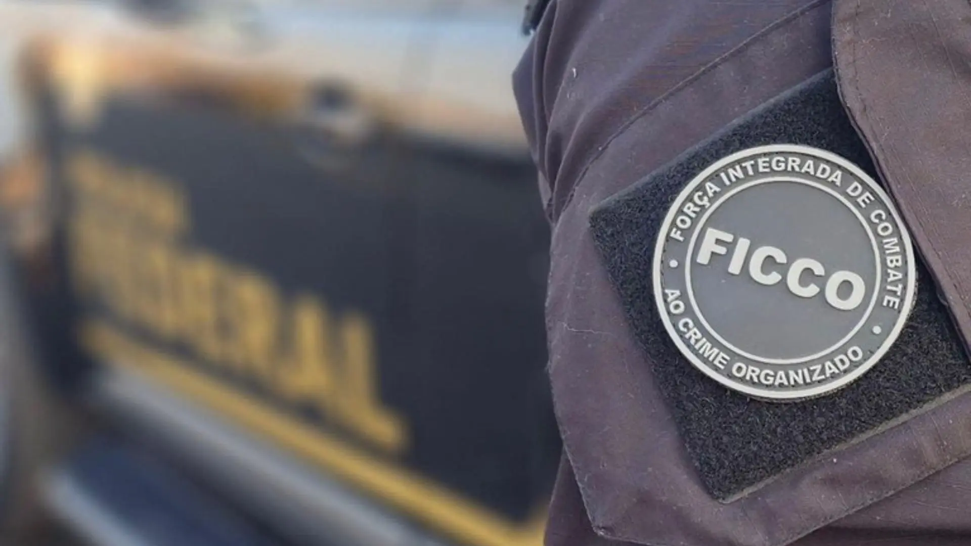 Foto: Força Integrada de Combate ao Crime Organizado de Goiás (Ficco/GO)