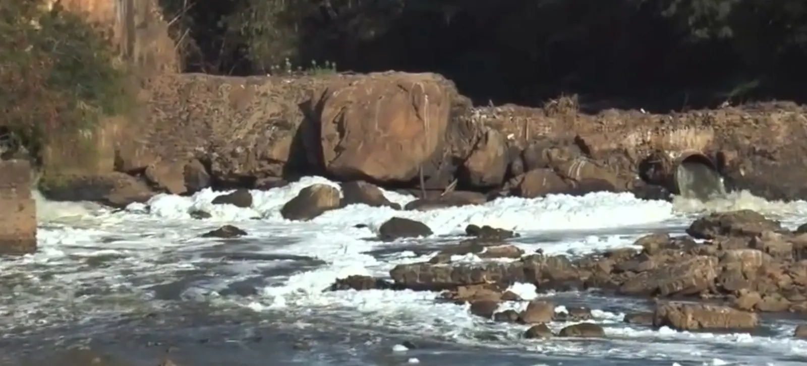 Espuma rio Meia ponte dia 25