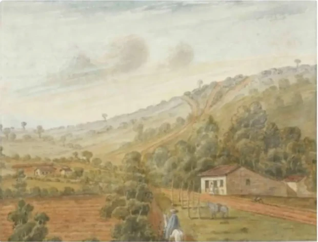 Vista do Ipiranga por Edmund Pink em 1823 Foto Museu de Arte de São Paulo 0l