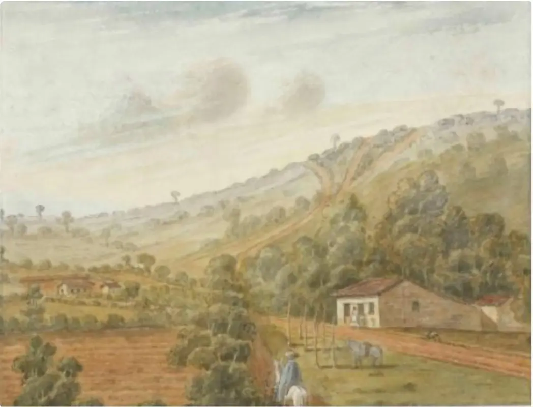 Vista do Ipiranga por Edmund Pink em 1823 Foto Museu de Arte de São Paulo 0l