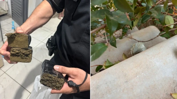 Foto: Polícia Civil