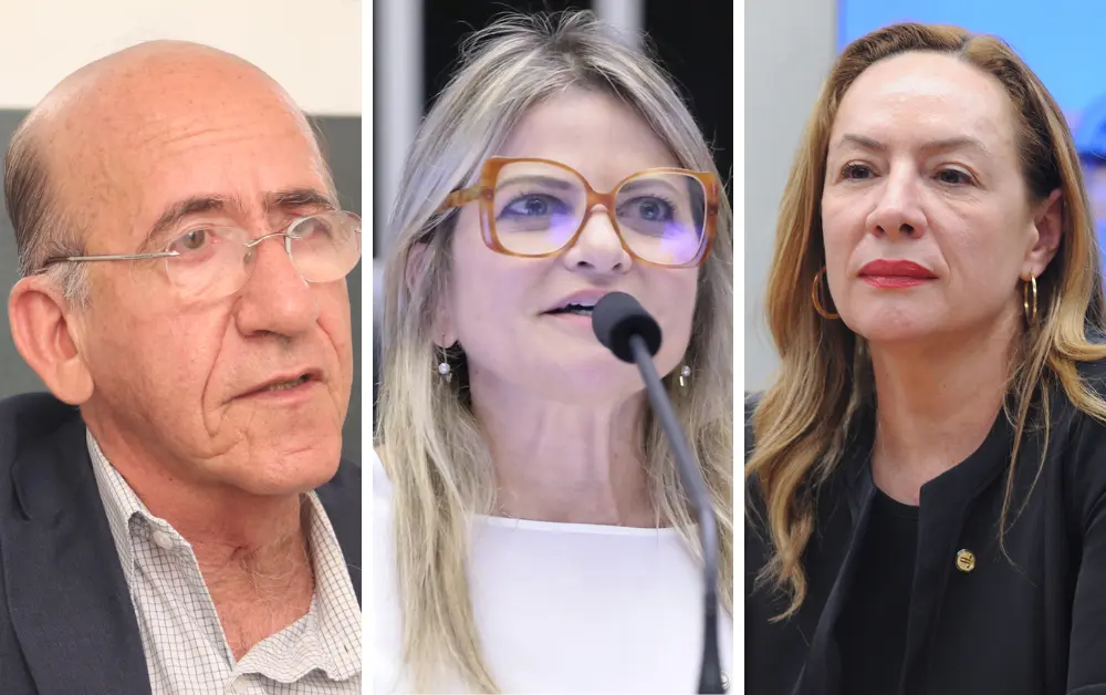 Foto Reprodução - Leoiran e Câmara dos Deputados