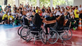 Divulgação