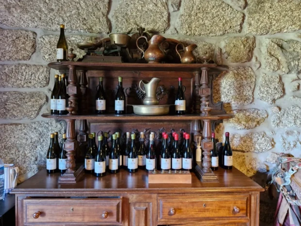 Vinhos da Quinta de Cypriano em Vila Nova de Muía Foto Marcio Fernandes 2025