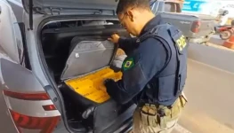 Captura de tela 2025-09-19 082651