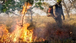 queimadas-bombeiros
