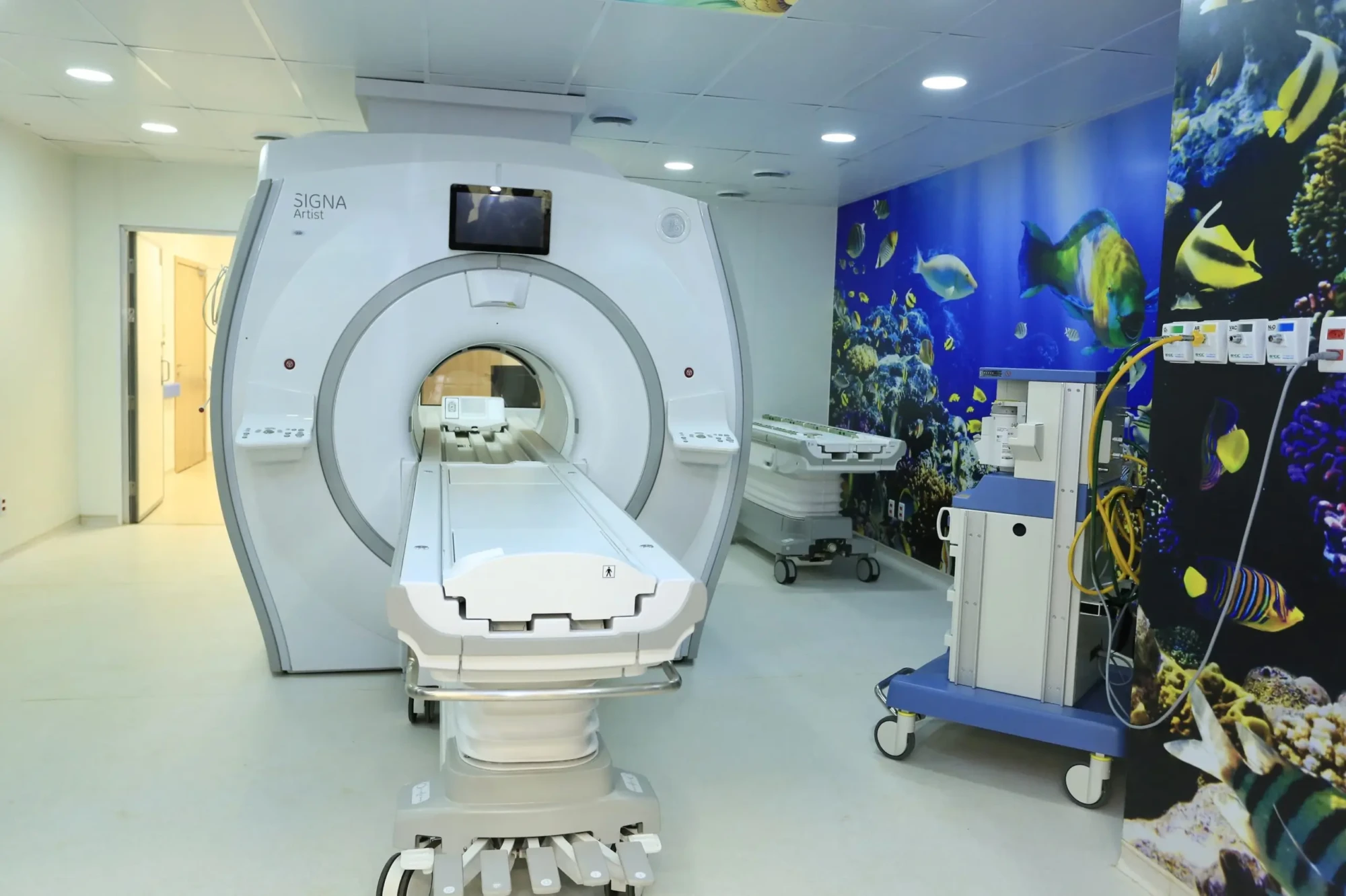 Foto André Saddi e Rômulo Carvalho (4)