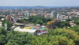 image (1)