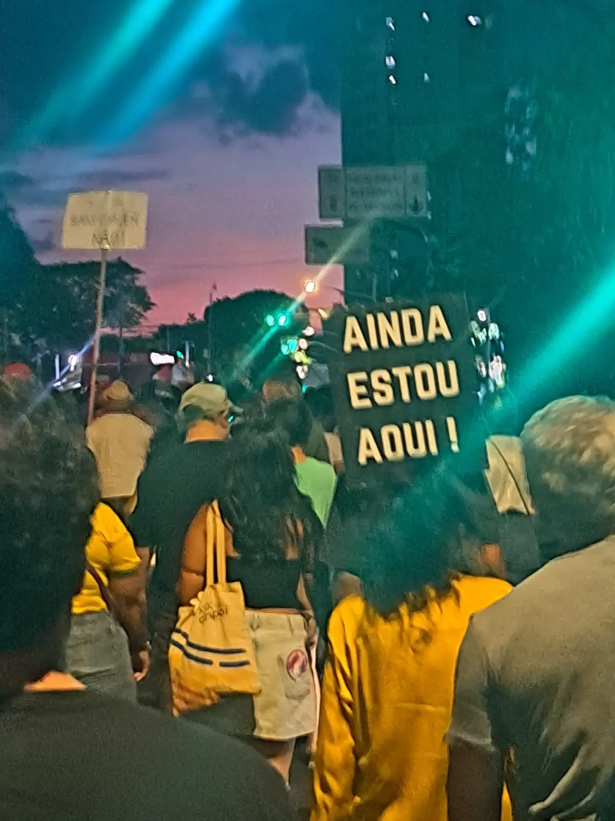 Passeata Ainda estou aqui