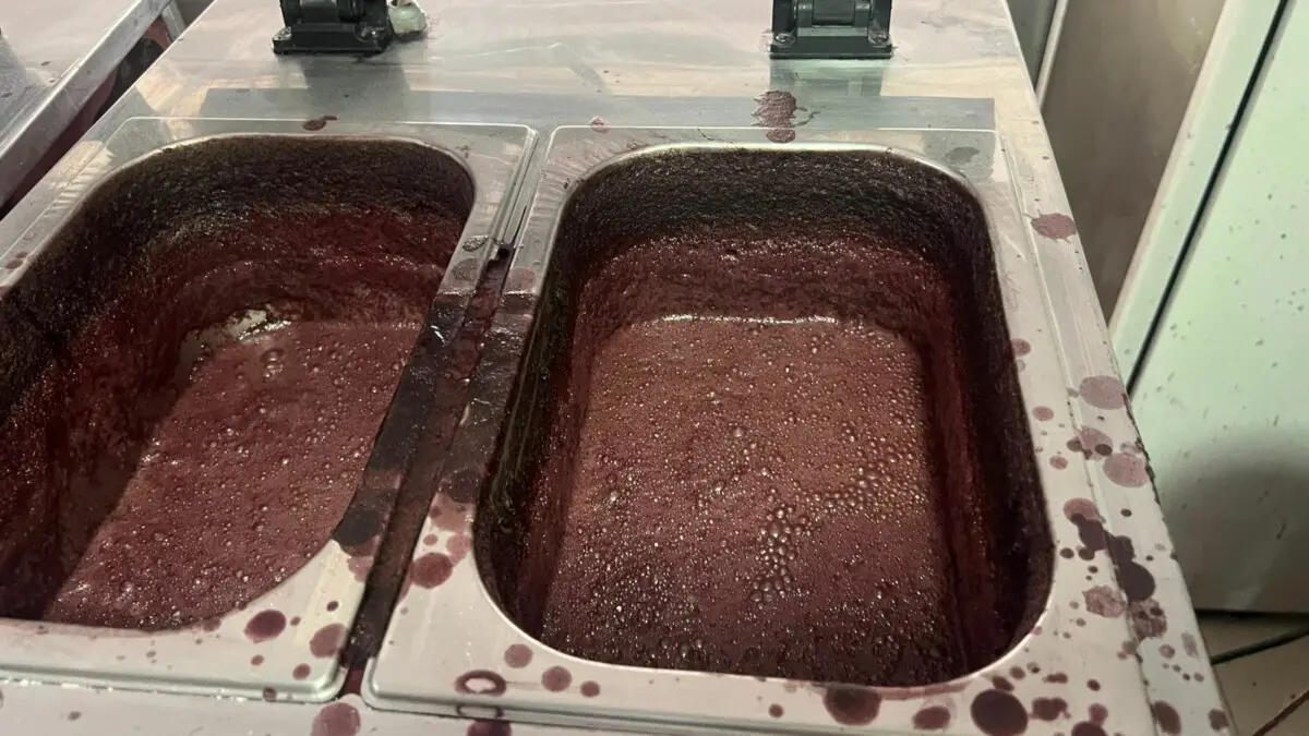 PCGO-e-Vigilancia-Sanitaria-interditam-acaiteria-em-Goiania-por-risco-a-saude-publica-2