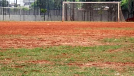 Terrão