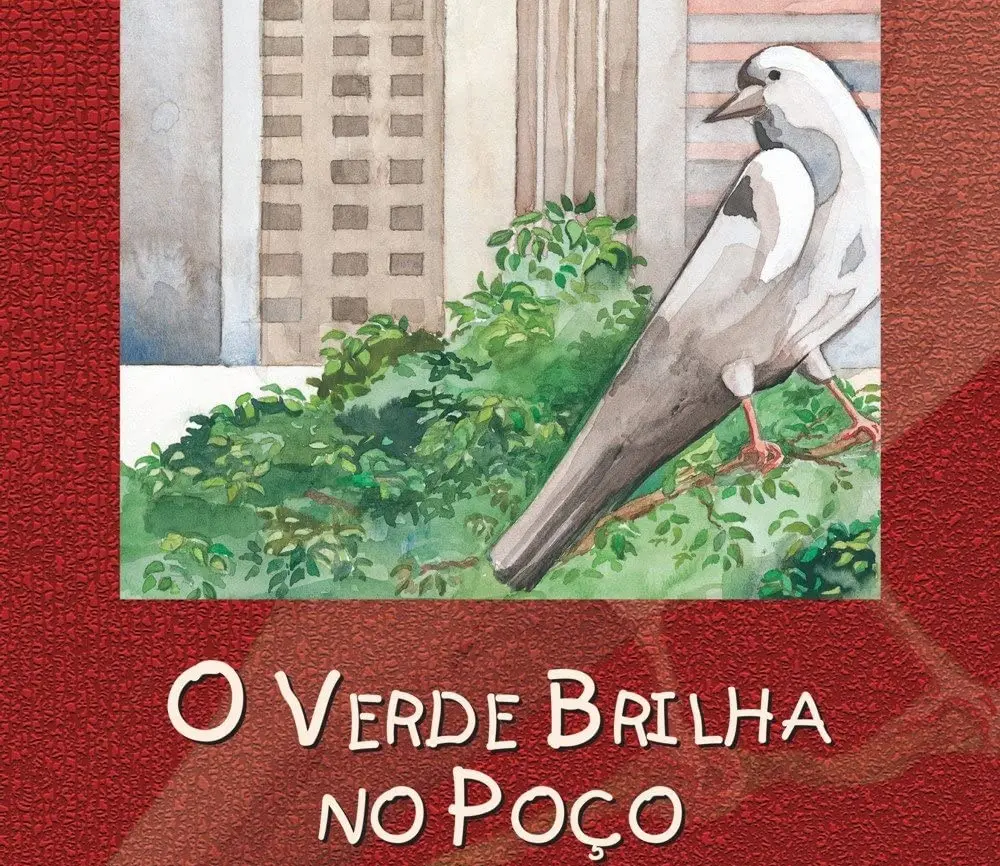 Marina Colasanti O verde brilha no poço 1 1000 por 866