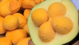 pequi