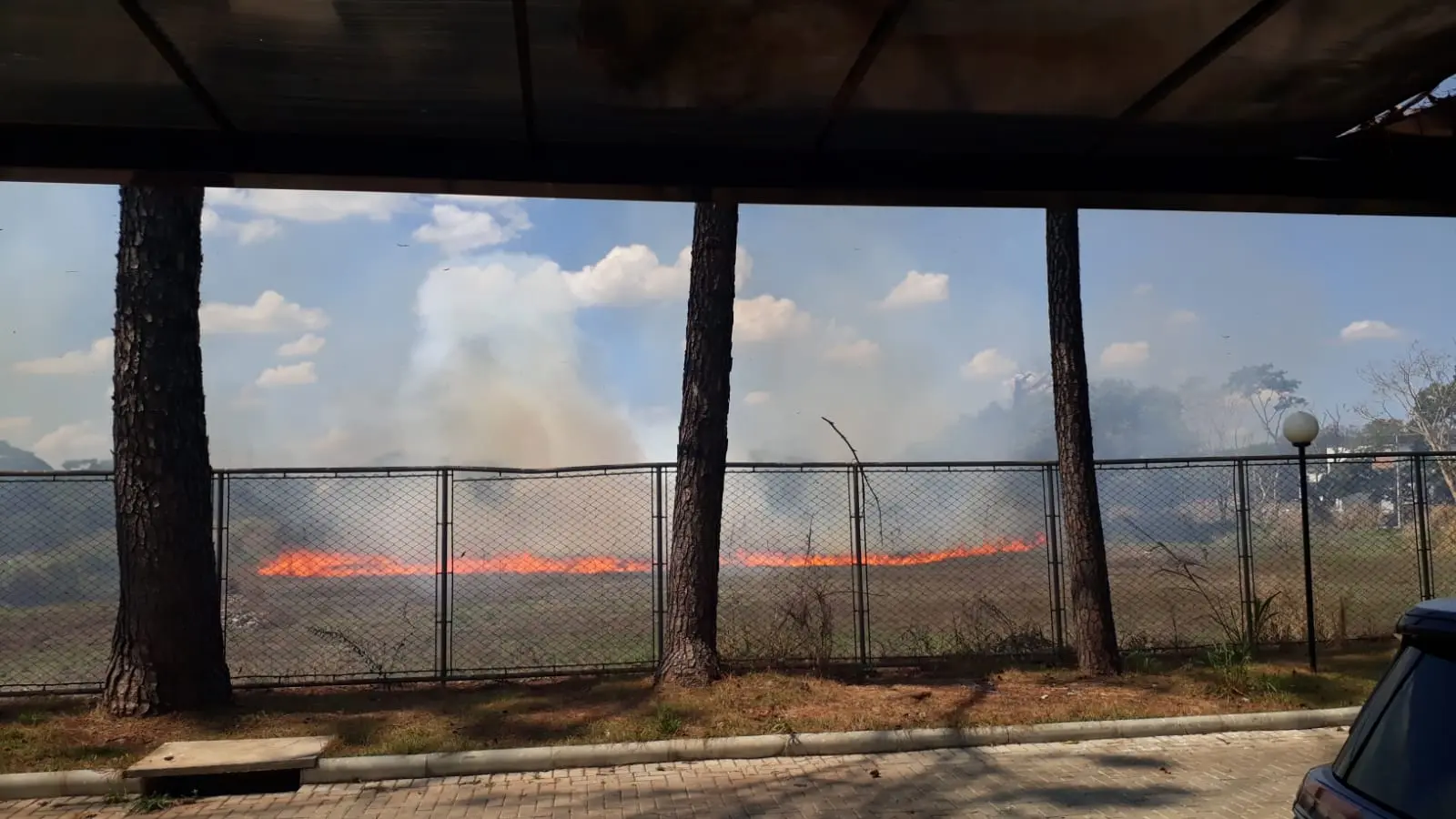 WhatsApp Image 2025-09-26 at 16.00.08