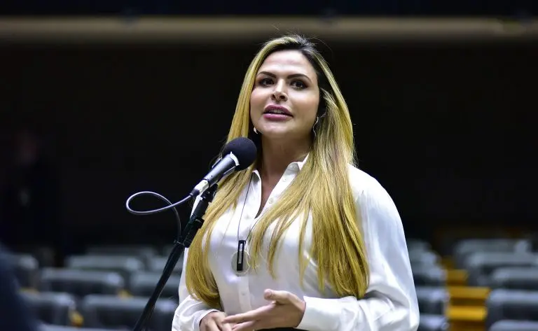 Silvye Alves foto 4 Câmara dos Deputados 1