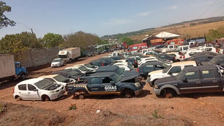 WhatsApp-Image-2025-09-26-at-14.54.33-768x432