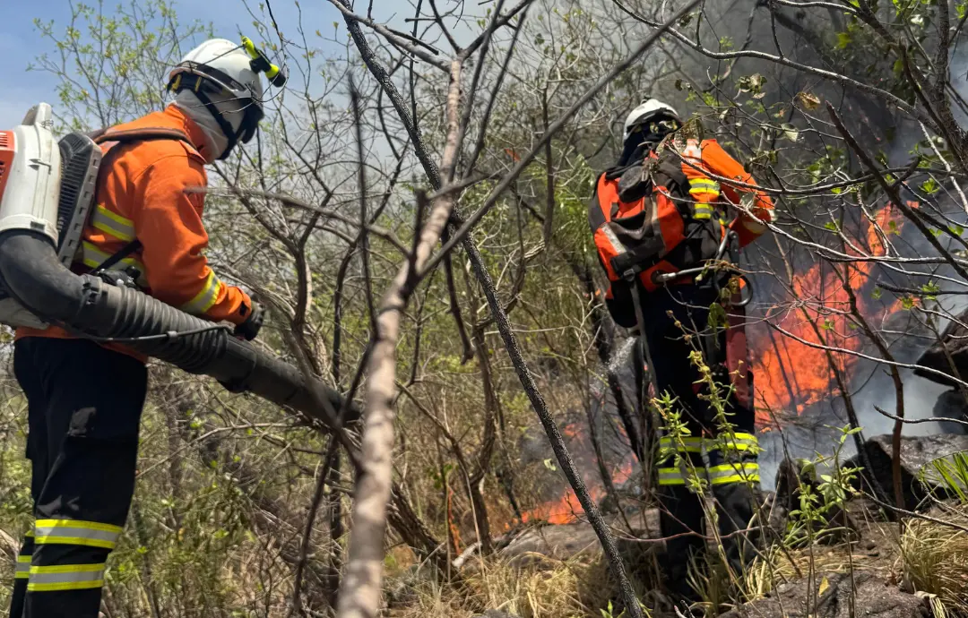 Foto site full hd (1)