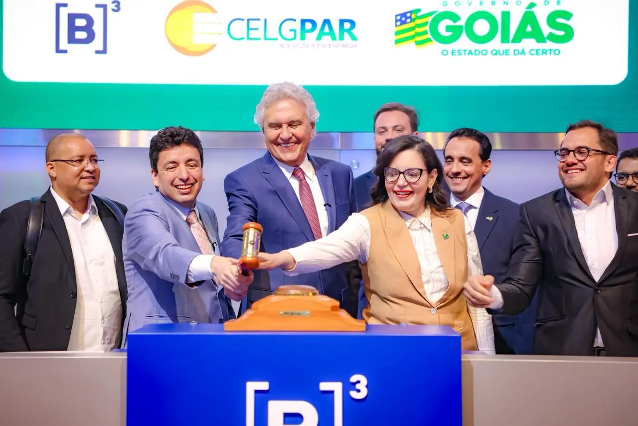 Leilão Celgpar