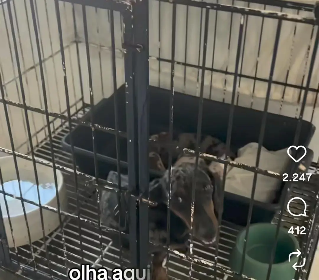 cce6a96f-2ee5-40e7-82c1-4342c6984651