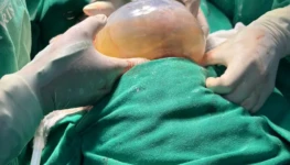 WhatsApp Image 2025-10-07 at 08.31.20