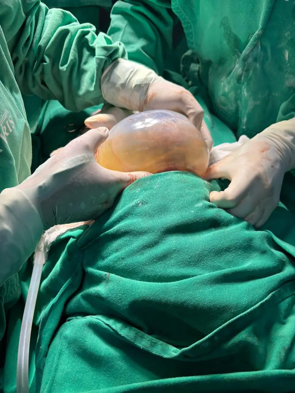 WhatsApp Image 2025-10-07 at 08.31.20