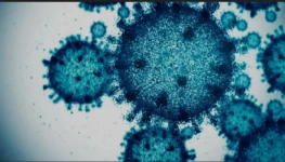 WhatsApp Image 2025-10-08 at 10.45.36