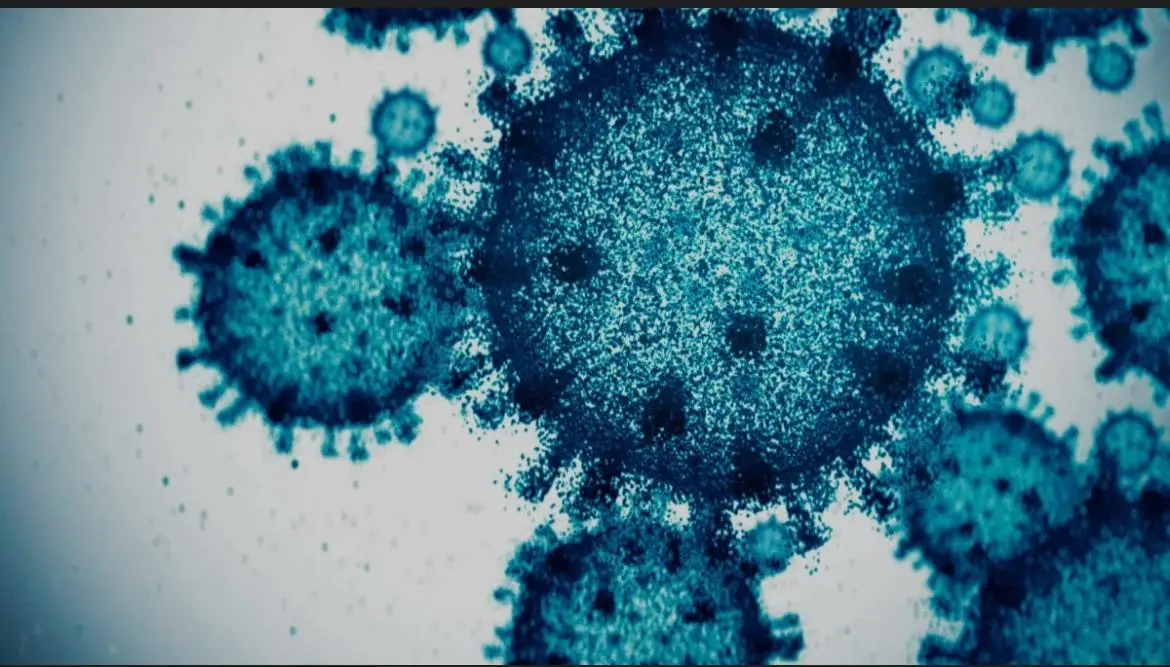 WhatsApp Image 2025-10-08 at 10.45.36