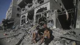 image_processing20231012-13039-1m56xb9