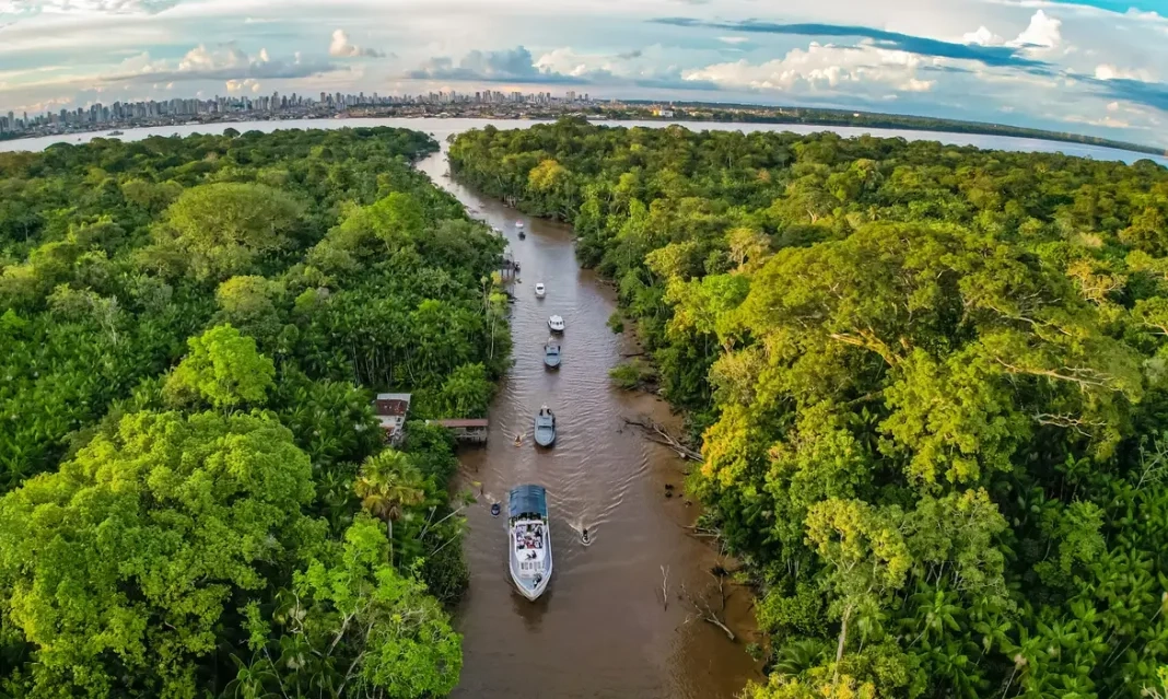 amazonia-1068x639