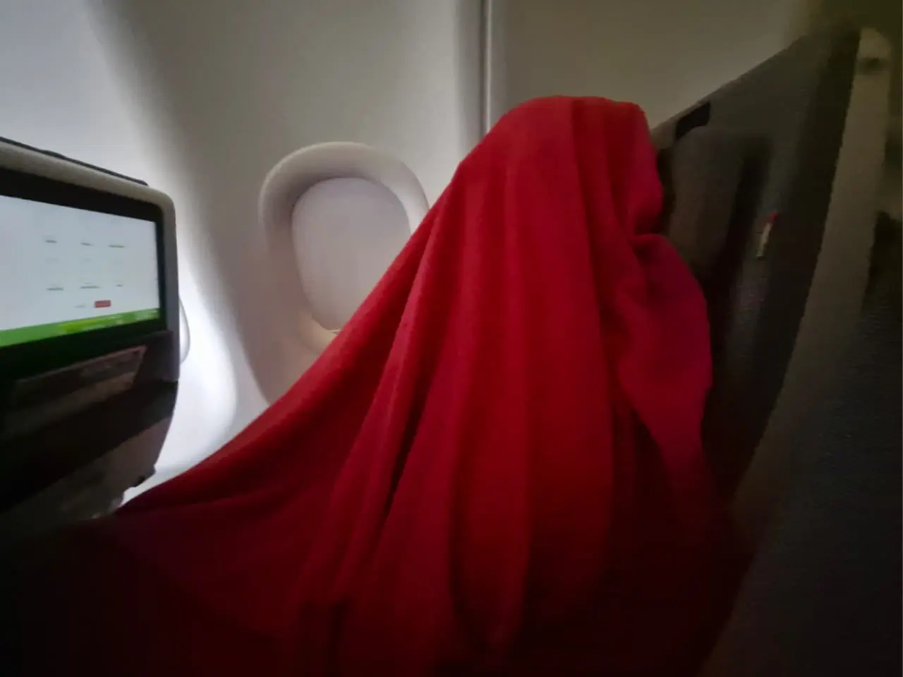 Assim dorme um emirático woke no poleiro Foto Marcio Fernandes 2025