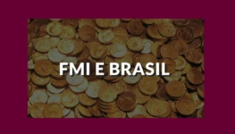 FMI e o Brasil 1