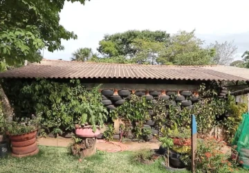 WhatsApp Image 2025-10-21 at 18.25.22