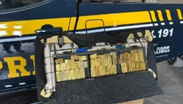 ee6de2d4-8821-4ef8-9969-d6a182f62739