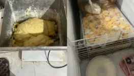 WhatsApp Image 2025-10-28 at 12.13.06