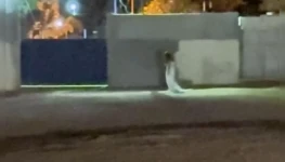 Video-de-mulher-com-vestido-branco-em-frente-a-cem-01035690-0-202510281340-ProportionalFillBackground