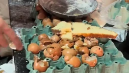 WhatsApp Image 2025-10-28 at 18.11.20