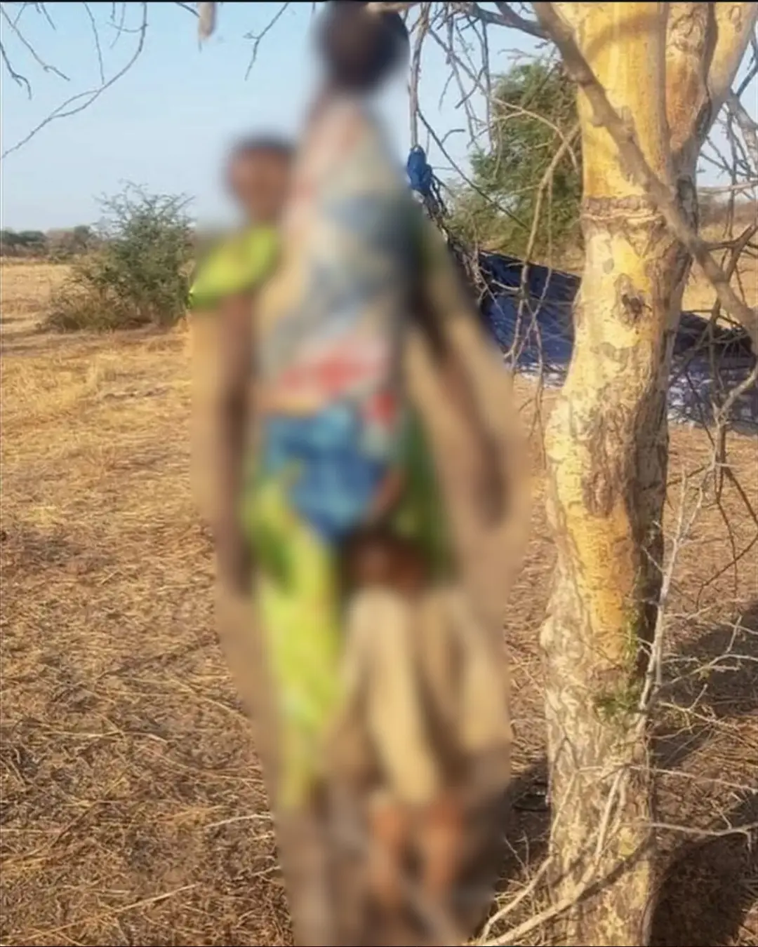 Feed - Goiânia - 2025-10-30T164052.200