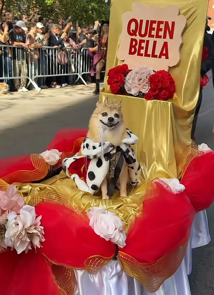 WhatsApp Image 2025-10-31 at 09.46.52 (1)