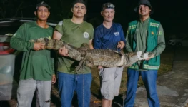 WhatsApp Image 2025-10-31 at 17.24.10