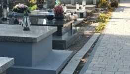 cb55ccf7efc946f02d083b7032808daf